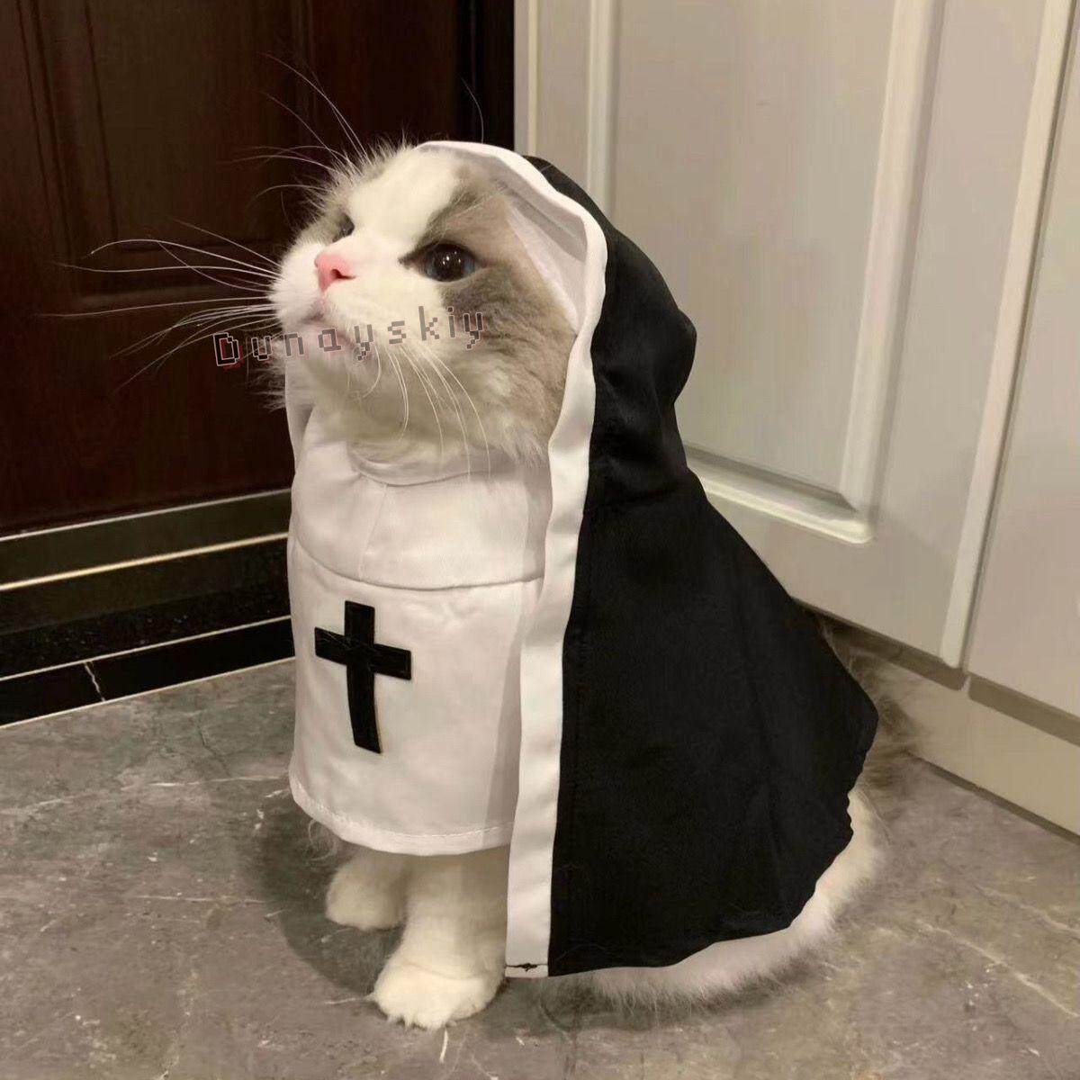 Disfraz de Navidad para Perros - Anime Cosplay Nun reseña y precio